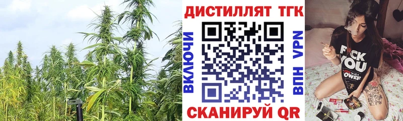 Дистиллят ТГК THC oil  MEGA сайт  Каменка 