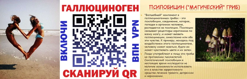 Галлюциногенные грибы ЛСД  ОМГ ОМГ сайт  Каменка 